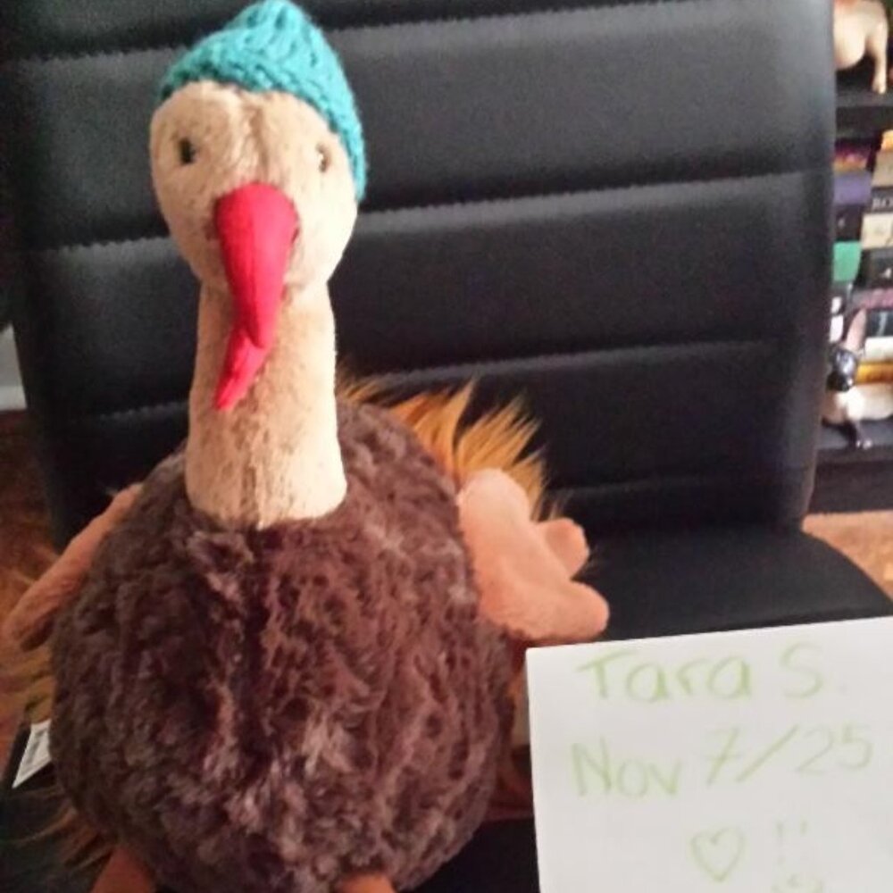 Jellycat Theo Turkey (NWT)